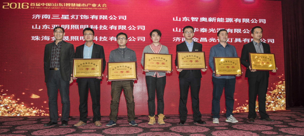 我公司创意的灯光雕塑作品荣获首届山东省绿色照明奖(图2)