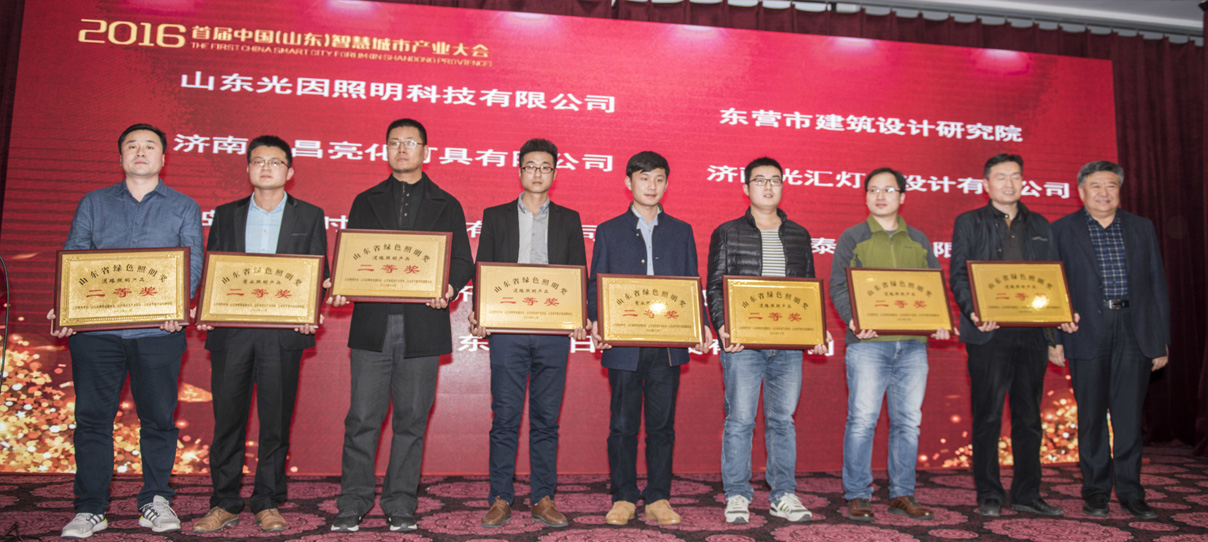 我公司创意的灯光雕塑作品荣获首届山东省绿色照明奖(图3)