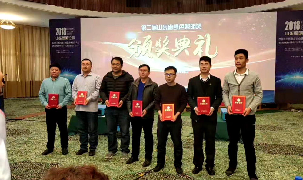 第二届山东省绿色照明奖活动中我司荣获三项荣誉(图3)